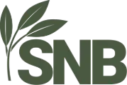 SNB